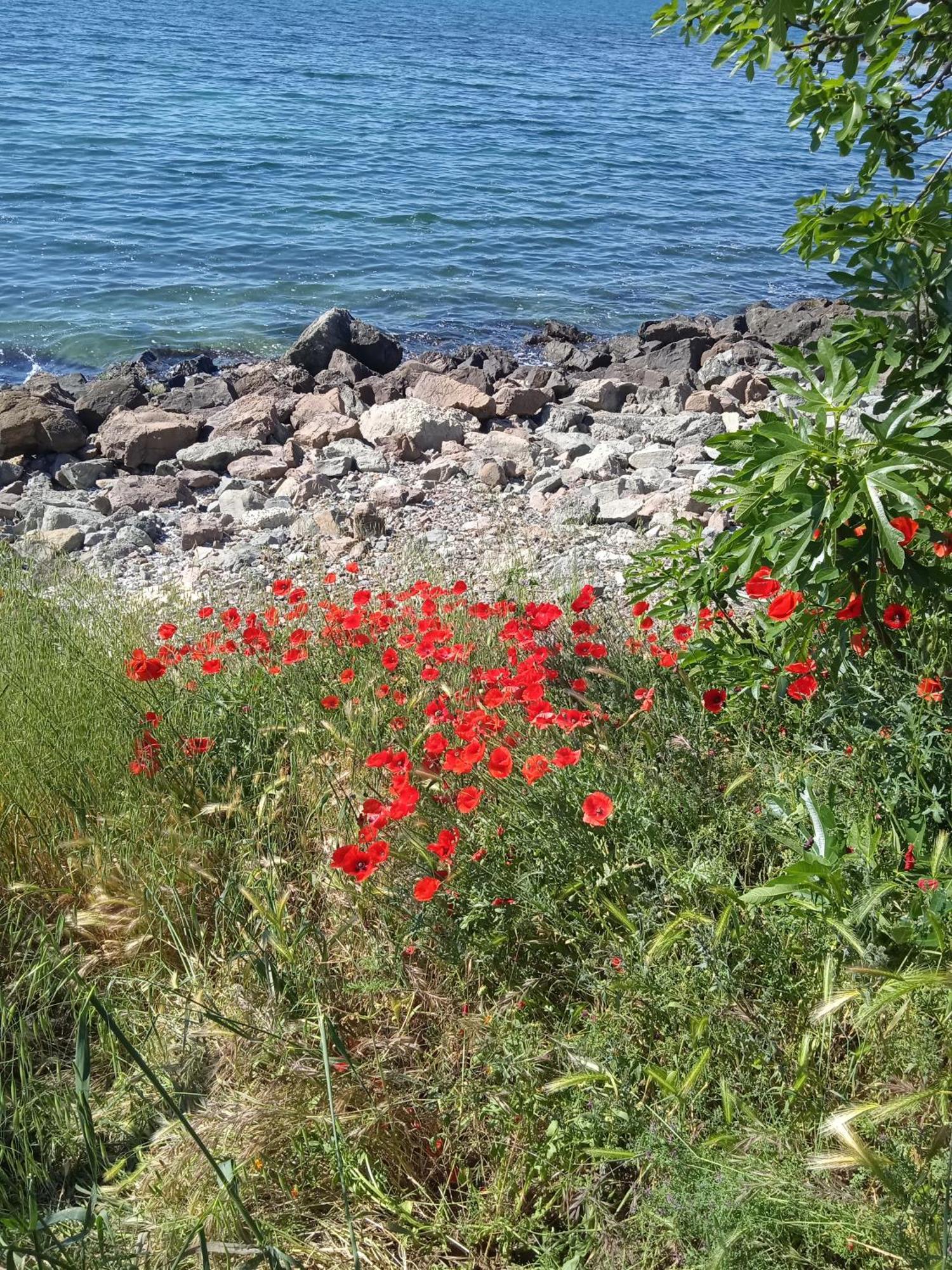 Nessebar, Studio,South Beach, Larisa מראה חיצוני תמונה